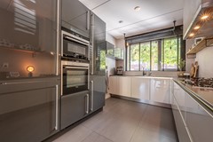 Goudzoeker 21-15.jpg